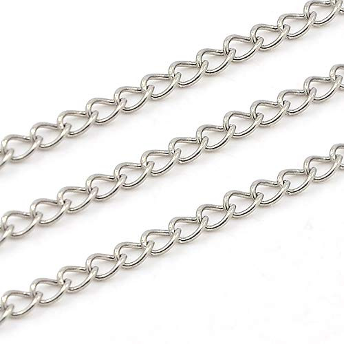 Cheriswelry 10 Meter 304 Edelstahl Panzerkette verlötet verdrehte Kettenglieder 2,5 x 1 mm für Schmuck Armband Halskette Basteln