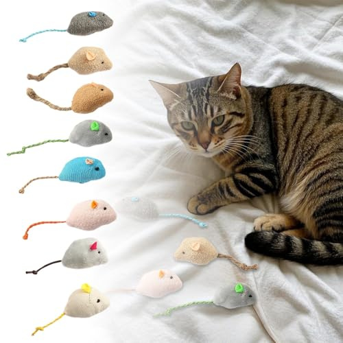 Yqs178 - Set di giocattoli da masticare e grattare per gatti, con piume, 12 cm, colore: grigio