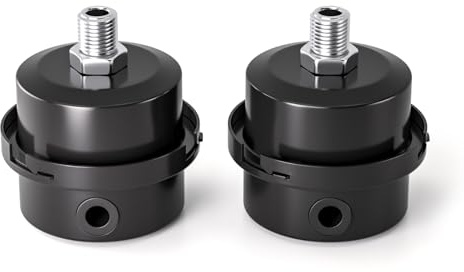 Bwintech 2 Pezzi Silenziatore Compressore D'aria Silenziatore 1/4 Filettatura Filtro di Aspirazione in Metallo Nero per