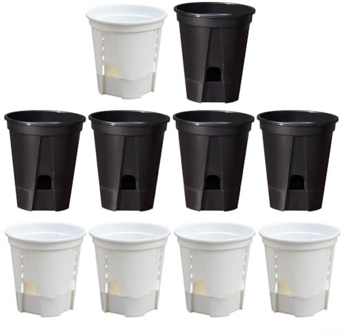 Lot de 10 pots de fleurs à arrosage automatique avec système de drainage optimal pour orchidées, plantes grasses et herbes (180B)