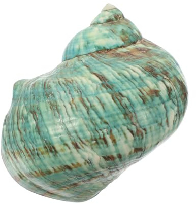 HEMOTON Concha de Mar Natural Verde 9-10cm, Caracol Grande para Cangrejo Ermitaño, Conchas Turbo para Decoración de Acuario Pecera, Artesanía Náutica y Colección