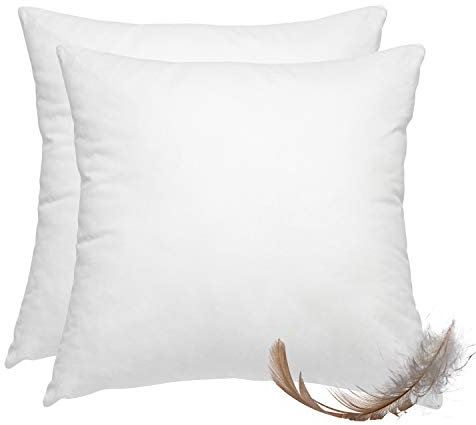 wometo 2er Set Federkissen 100% Federn 60x60-800g Oeko-TEX Sofakissen Füllkissen Bezug Baumwolle weiß/Innenkissen/Kissenfüllung/kleine Kopfkissen (2 Stück)