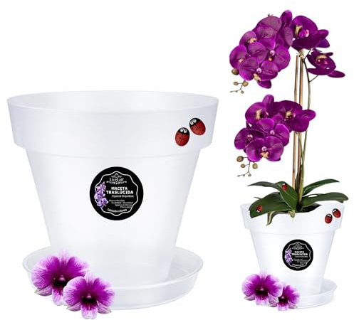 LiveLaif®-Ø21 cm Maceta Orquidea Traslúdida + Plato Maceta | Maceta Orquidea Transparente | Maceta Plastico | Macetas para Orquídeas Transparente | Macetero Orquidea (1, ⊘21 cm)