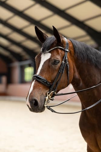 HORZE Pferde Glamourdale Weymouth Kandare, Pferde Trense