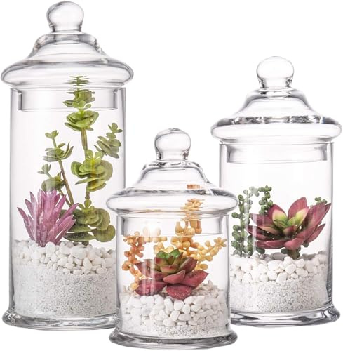 Glass Apothecary Jars with Lids, Set of 3 - Bathroom Storage Organizer for Qtips, Cotton Balls, Bath Salts, Candy, Kitchen & Home Decor (11, 8.5, 7.5 Heights)