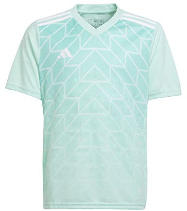 Adidas Boys Jersey (Short Sleeve) Team Icon 23 Jersey, Clear Mint, IC1255, 164