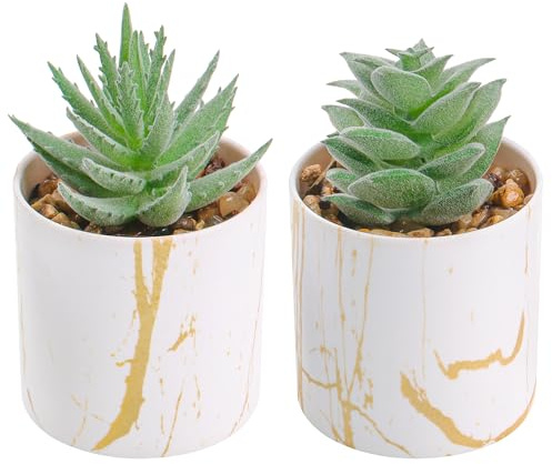 BTSD-home Set of 2 Succulents Plants Artificial Mini Fake Succulents Plants for Home Office Desk Accessories for Women