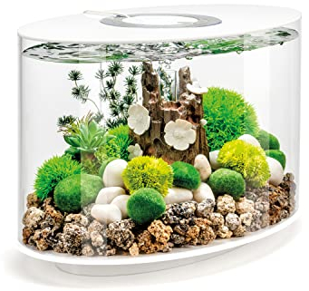 biOrb LOOP 15 LED weiß, 15 Liter - Aquarien-Komplett-Set mit patentiertem Filtersystem, Lichteinheit, Acryl-Becken in elliptischer Form