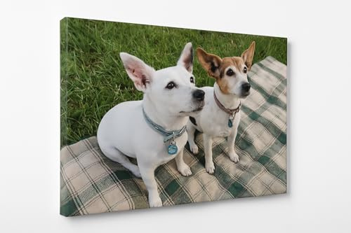 Genérico Lienzo Personalizado con Foto | Cuadro Decorativo en Lienzo | Regalo Original y Emotivo para Hogar, Familia, Hijos, Pareja, Mascotas | 100% Algodón Personalizado (60l x 40an cm)