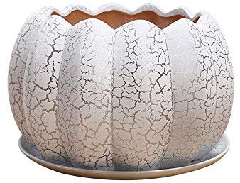 GImLY Keramik-Blumentöpfe Silber Crack Keramik-Pflanzgefäß Blumentöpfe Kürbisform Kaktus Keramiktopf Indoor Outdoor Dekorativer Gartenbehälter für Sukkulenten Pflanzen Blumen
