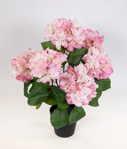 Seidenblumen Roß Großer Hortensienbusch 50x38cm rosa im Topf GA Kunstpflanze Kunstblumen künstliche Hortensie Pflanze