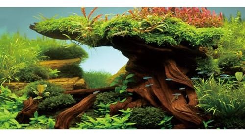 MIRRORANG 120x50cm Madera Tanque de Peces Fondo Algas Acuario Fondo río Cama y Lago Acuario Fondo Vinilo Fondo