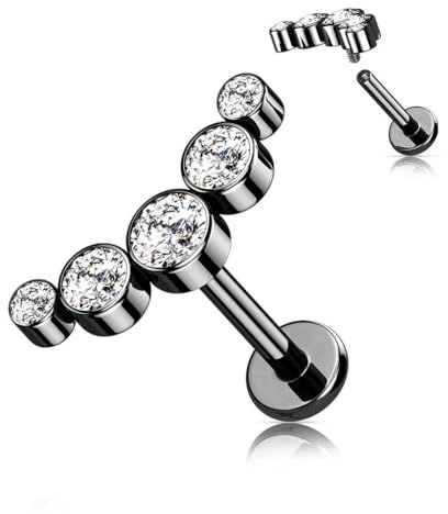 Stachelkleid Titan Labret Zargenfassung 5 Zirkonia Innengewinde Piercing Ohr-Stecker Helix Tragus