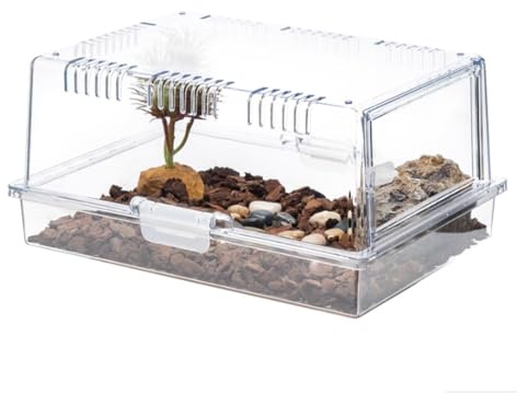 Faunarium Insektenbox Spinnenterrarien Zuchtbox Insektenbehälter Kunststoff-Futterbox Schnecken Terrarium