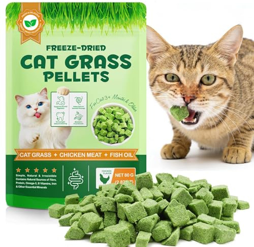 Katzengras Snacks gefriergetrocknet, 80g | Natürliches Huhn, Zahnreinigung & Haarballen Reduktion, Unterstützt die Verdauung für Innenkatzen
