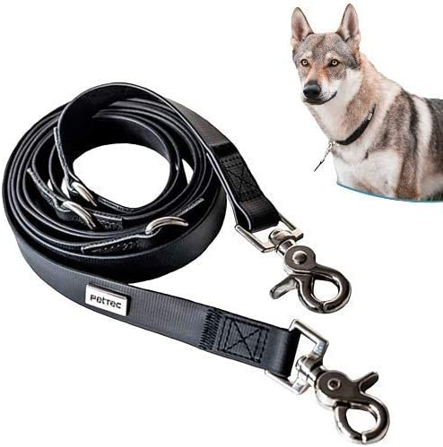 PetTec Hundeleine 2m Führleine für Hunde bis 60kg, leichte Trainingsleine/Ausbildungsleine/Trekkingleine verstellbar aus TRIOFLEX (ähnl. Biothane), wasserabweisend, Dog Lead (Schwarz)