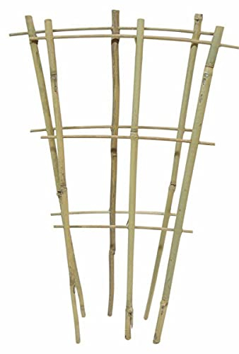 Natural Eco-Friendly Bamboo Cane Plant Pot Fan Trellis Outdoor Garden Planter Climbing Plant Support Frame Stake Stick Pole (1, 60cm)