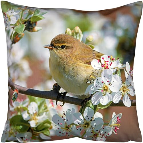 Espamira Kissenbezug 40x40 Kissenhülle Dekokissen Sofakissen Frühling Sommer Kissen Weich Stoff Chenille Bedruckt Reißverschluss (Zilpzalp 5261)