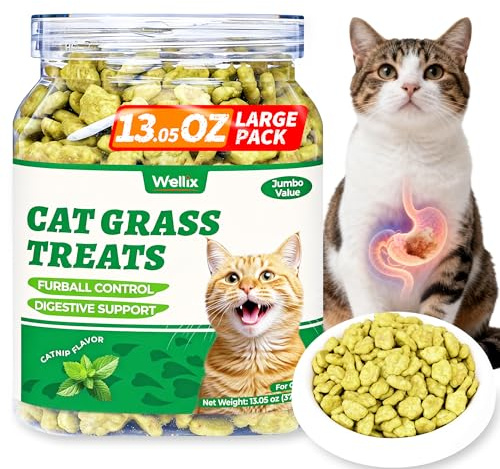 Wellix 13.05oz Cat Grass Treats with Catnip & Salmon - Healthy Cat Treats for Indoor Cats - Hairball Control & Digestive Support - Kittens Training Snacks for Teeth Cleaning