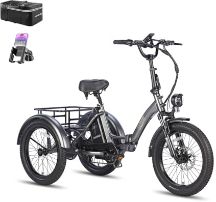 Fafrees F20 Mate Elektro-Dreirad | Klappbar, 48V Akku, 65Nm Motor | 20×3.0 Allwetterreifen, 180kg Lastenfähigkeit, Senioren-E-Bike (18Ah-Basismodell, Grauer Stil 3)