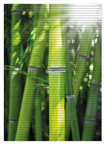 Wallario Duschmatte Antirutschmatte Badmatte Fußmatte Bambus im Sonnenschein, Größe ca. 70 x 50 cm