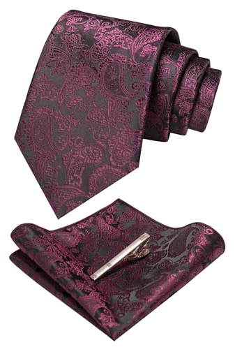 JEMYGINS Graziös Paisley Elegant Herren Krawatte und Einstecktuch mit krawattenklammer Sets