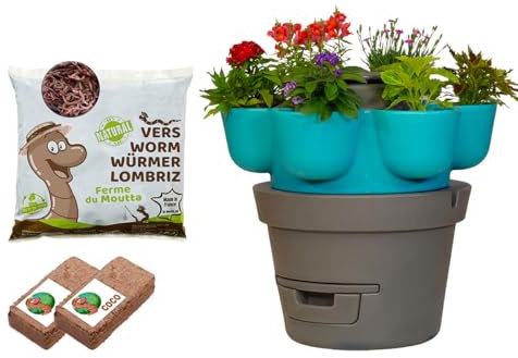 Moutta | WORMgarden Turquoise 1 jardinières + 250gr de vers de Compost | Jardin Potager Vertical avec lombricomposteur | Cultivez Vos Fruits et légumes | Créez Votre Potager et recyclez Vos déchets