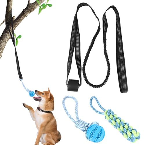 Outdoor Hanging Bungee Dog Toy, Interactive Dog Chew Toys for All Dogs | Puppy Teething Tug Toy with 2 Dog Rope Toys, Retractable Play Cord Tether for Small Medium Large Breeds Play and Exercise