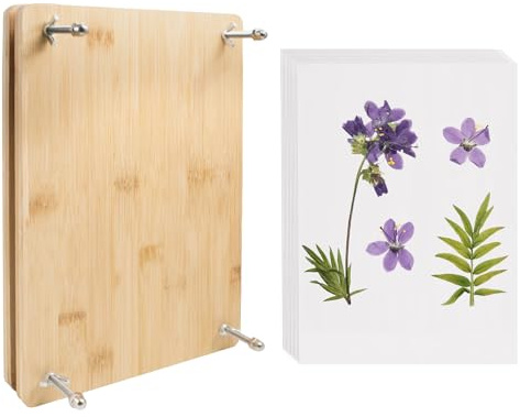 QoTang blompressningsset, blommor och växtkonserveringsset, gör-det-själv-pressade blomväxtbevarande kit, konst och hantverk för vuxna och barn, 30 x 20 cm