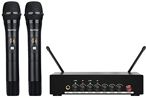 Depusheng DR20 Professionelles drahtloses Mikrofon Dual tragbares Mikrofon UHF-Funkempfänger geeignet für KTV Family K Song BühnenperformanceBluetooth