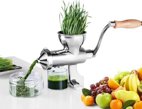Stainless Steel Manual Wheatgrass Juicer Fruit Vegetable Citrus Orange Juice Press Extractor Multifunctional Auger Slow Squeezer (Fixed Clip Base)