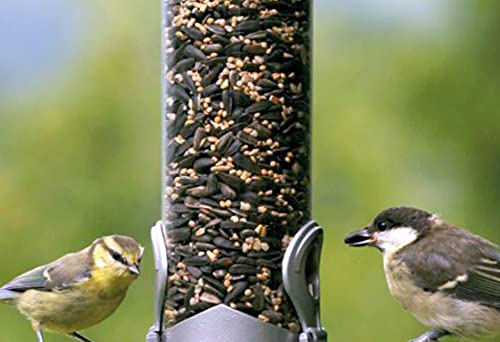 garden mile Alimentador de aves silvestres para nueces, semillas o bolas de grasa, Bebederos de Pajaros, colgar de árboles o estaciones de comida en tu jardín al aire libre (comedero de semillas)