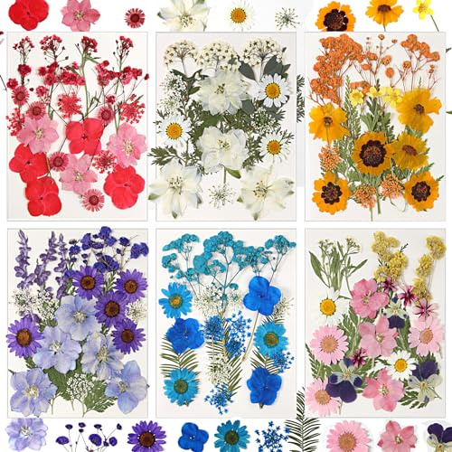 CONVELIFE Dried Flowers for Resin, 106pcs Natural Flowers and Leaves Compressed, Vacuum Packed DIY Pressed Flowers for Epoxy, Jewelry, Candles, Soap, Nail Production