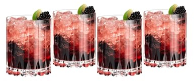 Riedel Drink Specific Glassware Double Rocks Set of 4