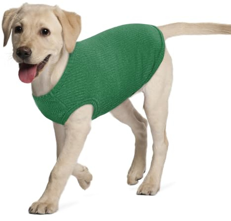 Hundeshirt für Mittelgroße Hunde | Sommer Hund T-Shirt Atmungsaktiv & Leicht | Weich & Bequem, Rundhals Design | Hunde Bekleidung | Cocker Spaniel, Border Collie (Smaragdgrün XL)