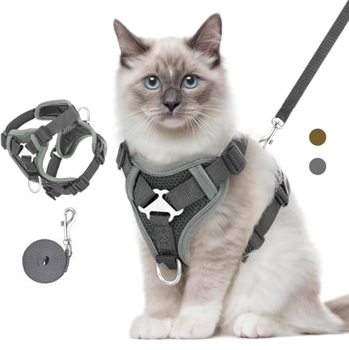 VavoPaw Pettorina per Cani con Guinzaglio da 1,5M, Imbracatura per Gatti Antifuga con Rete Traspirante e Strisce Riflettenti, Gilet Morbido e Regolabile per Cani Gatti, M, Grigio Scuro