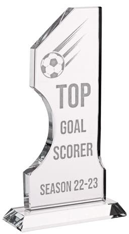Wanapix | Trofeo Personalizzato in Vetro | Incisione Laser (Scala di Grigi) - Testo e Nomi | Astuccio Incluso | Premio/Trofeo/Ricordo | Numero 1 | 10x18 cm | Anniversario