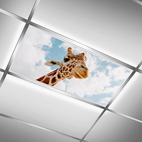 BIROSVSY Fluorescent Light Covers for Classroom Ceiling Lights – 2x4ft Backlit Film for Fluorescent Fixtures, Easy to Install – School, Office, Sensory, Improve Focus, Eliminate Headaches – Giraffe