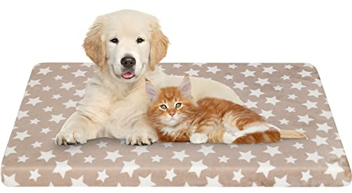 EMPSIGN Hundebett, Hundekissen passend für Käfige, Hundematte mit Abnehmbarem und waschbarem Bezug für kleine Hunde, Hundebett Wasserdicht S 61x46cm, 6.6cm Höhe, Beige