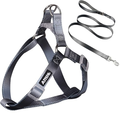 AIITLE No Pull Small Dog Harness and Leash Set - Quick Fit Dog Halter Harness, Easy for Training Walking - Sturdy Buckle and Double D Ring - Puppy Vest for Small Dogs, Black-Grey Gradient S
