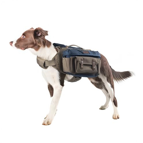 HOWLIDAYS CO. Hundewander-Rucksack für mittelgroße & große Hunde – Verstellbares Hundegeschirr mit Griff, Stauraumfächern, robust für Outdoor, Wandern & Camping (S)