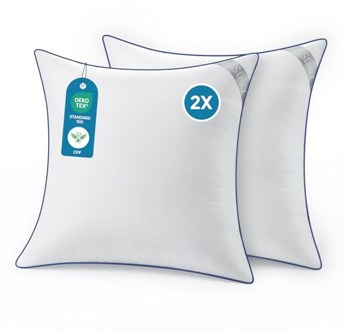 BedStory Oreillers 65x65 cm Lot de 2 - Oreillers Classiques Hypoallergéniques, Doux et Respirants, Soutien Équilibré, Qualité Hôtelière Lavable, Idéal Côté, Dos et Ventre
