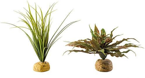 Exo Terra Stern-Kaktus- und Schildkrötengras-Terrarium-Pflanzenbündel