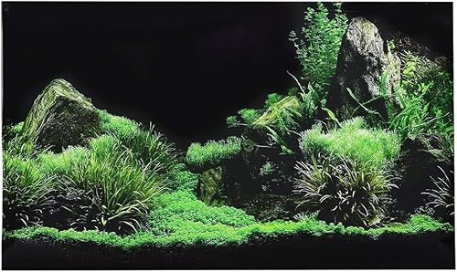 Zerodis Aquarium Poster, Meeresboden Wasser Gras Aquarium Hintergrunddekoration 3D PVC Selbstklebende Aquarium Wallpaper Aufkleber für Aquarium Aquarium Dekoration(91 * 50cm)