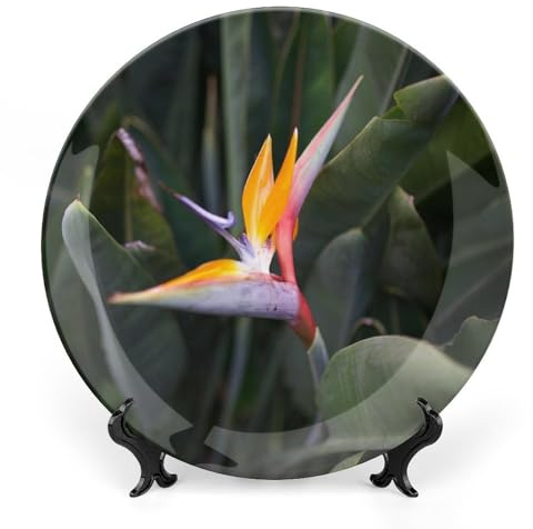 Flower Plant Leaves Botany Decorative Plate for Wall Ceramic Home Wobble-Plate with Display Stand Table Decor Ornament Thanksgiving Christmas Decoration Porcelain Dinner Plate Dessert Dish 6