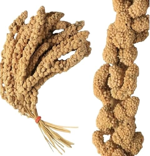 1kg Premium Millet Spray for Birds & Small Pets – Ideal for Budgies, Canaries, Cockatiels, and Parrots