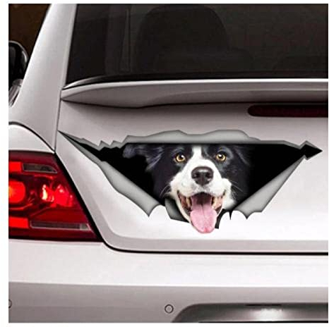 OGJFLT Auto Sticker Autoaufkleber Lustig Dog 2Pcs 25Cm Border Collie Aufkleber, Auto-Aufkleber, Vinyl-Aufkleber, Haustier-Aufkleber, Hund-Aufkleber, Border-Collie-Auto-Aufkleber