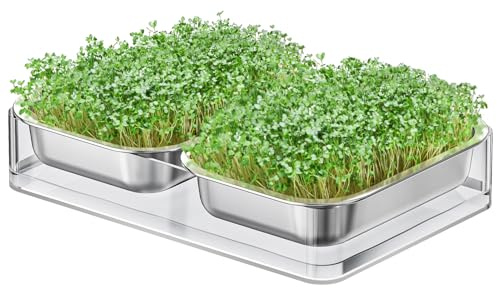 FANHAO Upgraded Visual Seed Sprouter Tray, Stainless Steel Soil-Free Cultivation Germination Tray with Acrylic Base, Healthy Microgreens Growing Kit for Indoors Sprouting Seeds, Grow Grass, Beans