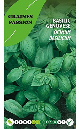 Graines Passion , sachet de graines Basilic Genovese