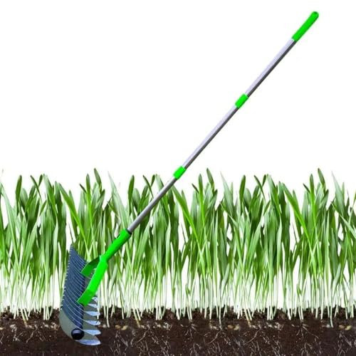 HLGKBY Scarificateur d'aérateur de pelouse, Outil de Jardin pour l'élimination de la Mousse, Outil d'aération de Pointes d'aérateur de pelouse avec poignée, aération Manuelle Efficace 1.3m